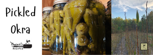 Pickled Okra from our Backyard Garden