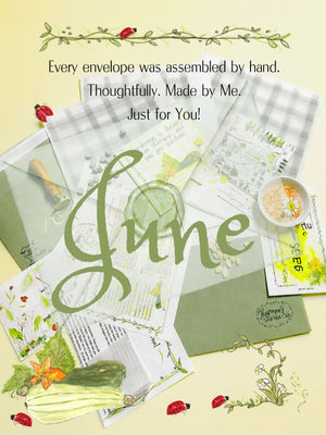 (2026) JUNE Snail Mail Envelope